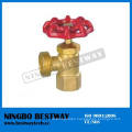 China Brass Boiler Drain Valve Hot Sale (BW-S21)